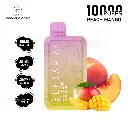 ELF-BAR-10000-PUFFS-50MG-PEACH-MANGO-Elf-Bar-68189598_1080x1080.webp