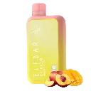 ELFBAR 10k Puffs Peach Mango