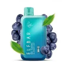 ELFBAR 10k Puffs Blueberry Mint